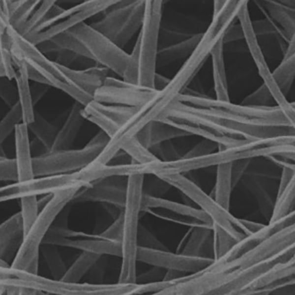聚丁二酸丁二醇酯重金属吸附膜纳米纤维膜