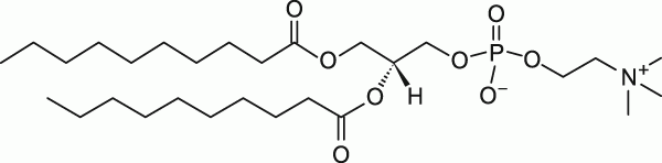 10:0 PC|1,2-didecanoyl-sn-glycero-3-phosphocholine|PC磷脂