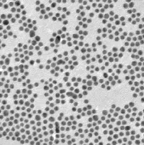 PEG-MAL coating Fe3O4 nanoparticles，50nm/PEG-MAL包覆Fe3O4纳米粒子，50nm