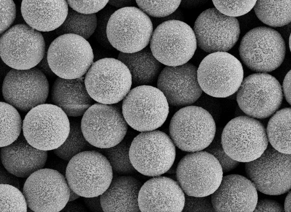 磁性阿霉素脂质体纳米颗粒    （生物分享）